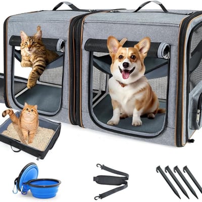 Lexium Katten Vervoersbox - Kattenvervoersbox - Reistas Katten - Reismand - Kattendraagtas - Transporttas