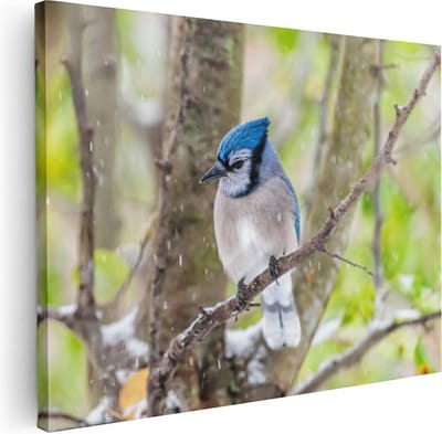 Artaza Canvas Schilderij Blauwe Gaai - 40x30 cm - Klein - Wanddecoratie Tak - Muurdecoratie Bos - Kamer Accessoires Woonkamer