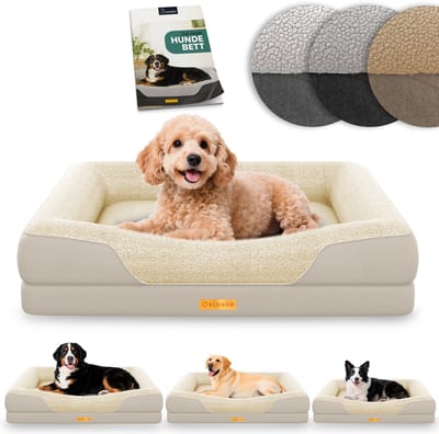 ELONEO Orthopedisch Hondenbed – S – Creme