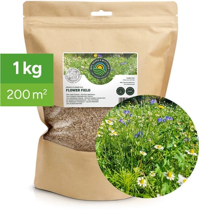 MRS Flower Field - Graszaad met bloemenmix - 1 kg voor 200 m² - 80% graszaad, 20% bloemen - met 29 laagblijvende bloemsoorten - Lokt bijen en vlinders - Kleurrijk bloemengazon