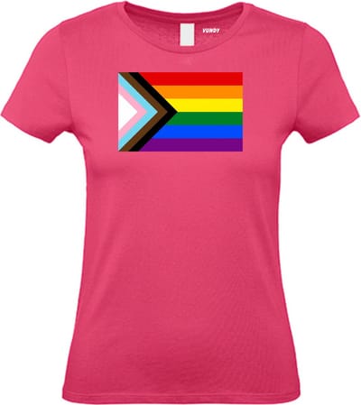 Dames T-shirt LHBTIQ+ Vlag | Gay pride shirt kleding | Regenboog kleuren | LGBTQ | Roze dames | maat XS