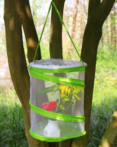 Pop-up Insecten- en Vlinderhuisje - Transparant Observatiehuisje 30x35 cm - Lichtgewicht Opvouwbaar Terrarium voor Insecten Vlinders en Kleine Dieren - Geschikt voor Onderwijs Tuinobservatie en Natuuronderzoek