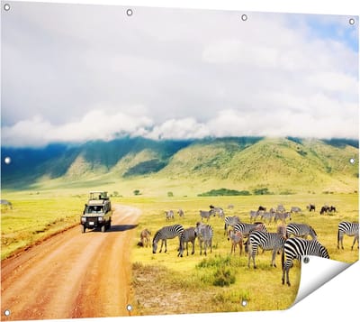 Gards Tuinposter Safari Auto tussen de Zebra's - 120x90 cm - Tuindoek - Tuindecoratie - Wanddecoratie buiten - Tuinschilderij