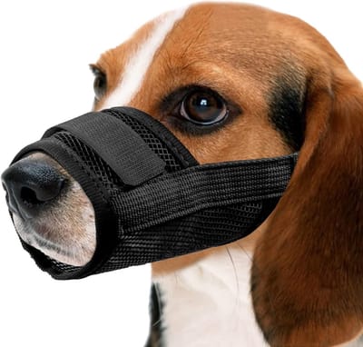 Ademend Nylon Hondenmuilkorf met Verstelbare Bandjes voor Voorkomen van Bijten en Onbedoeld Eten