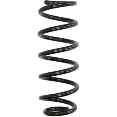 Chassisveer SACHS 991 244