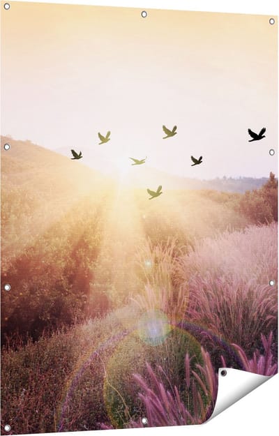 Gards Tuinposter Silhouet Zwerm Vogels bij Zonsondergang - 90x120 cm - Tuindoek - Tuindecoratie - Wanddecoratie buiten - Tuinschilderij