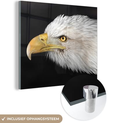 MuchoWow® Glasschilderij 50x50 cm - Schilderij acrylglas - Adelaar - Vogel - Snavel - Ogen - Foto op glas - Schilderijen
