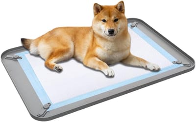 Puppy Potty Tray - Honden Plasbak - Zindelijkheidstraining Binnen - Verhoogde Rand - 62 x 42 cm - Grijs