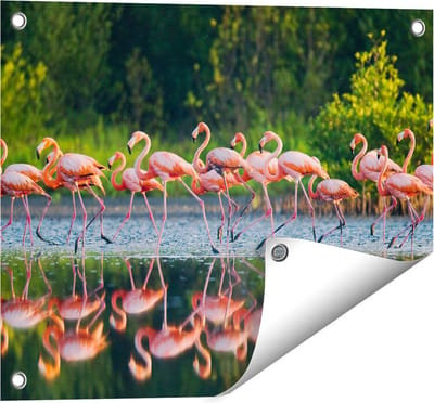 Gards Tuinposter Kudde Flamingo's op het Water - 50x40 cm - Tuindoek - Tuindecoratie - Wanddecoratie buiten - Tuinschilderij