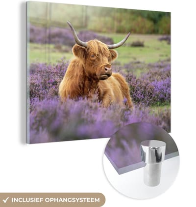 MuchoWow® Glasschilderij 160x120 cm - Schilderij acrylglas - Schotse Hooglander - Bruin - Struiken - Foto op glas - Schilderijen