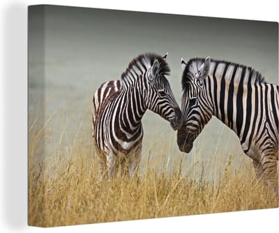 Canvas Schilderij Moeder zebra en haar jong - 90x60 cm - Wanddecoratie