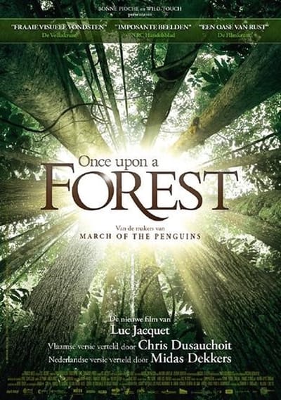 Once Upon A Forest