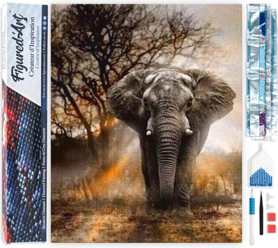 Figured'Art Diamond Painting set Volwassenen 40x50 cm Olifant in de savanne - 5D DIY Art full drill vierkante diamant - Opgerold canvas