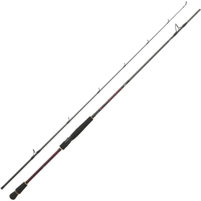 Daiwa Infeet Seabass Spinhengel Zilver 3.05 m / 14-56 g