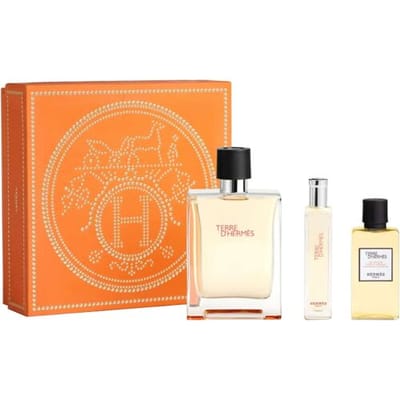 Terre d'Hermes eau de toilette 100 ml + 15 ml geschenkset