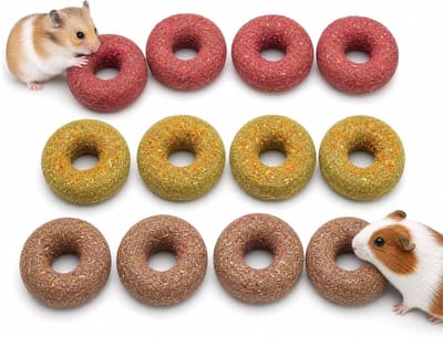 12 Bloesemhooidonuts voor Konijnen en Knaagdieren, Natuurlijke Kauwspeelgoed in Aardbei, Pompoen en Groenten, Gezonde Knabbelringen met Havergras en Rozenblaadjes voor Cavia's en Chinchilla's