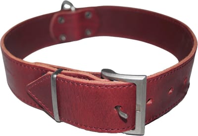 JACK AND VANILLA Vintage Hondenhalsband / Halsband - Italiaans Rundleder - Wijnrood - Breedte: 4 cm - Nekomtrek: 46 - 55 cm (GELIEVE ALVORENS BESTELLEN OPMETEN)