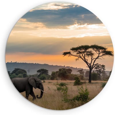 Saammp Muurcirkel Hout - Olifant tijdens zonsondergang in de serangeti - Afrika - Dieren - Ø 90 - Wandcirkel - Wanddecoratie Cirkel - muurdecoratie Woonkamer - Slaapkamer decoratie - Rond Schilderij