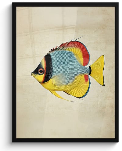 Poster in lijst - Fotolijst 60x80 cm - Posters - Kleurrijk - Vis - Schubben - Illustratie - Posterlijst zwart - Decoratie - Wanddecoratie woonkamer - Muurdecoratie slaapkamer
