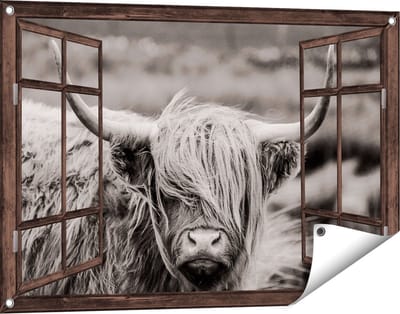 Gards Tuinposter Doorkijk Schotse Hooglander Koe - Zwart Wit - 90x60 cm - Tuindoek - Tuindecoratie - Wanddecoratie buiten - Tuinschilderij