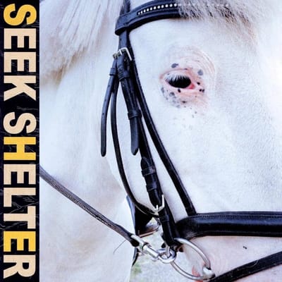 Iceage - Seek Shelter (LP) (Coloured Vinyl)