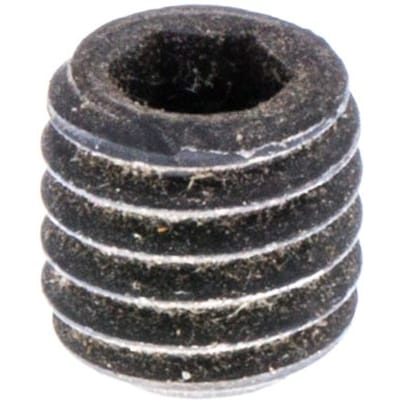 Screw