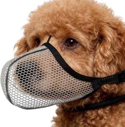 Honden muilkorf - Verstelbare mondbeschermer - Veilig uitlaten - Reflecterende randen - Maat S - Grijs