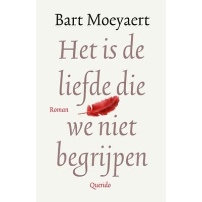 Het Is De Liefde Die We Niet Begrijpen - Bart Moeyaert
