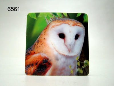 4 3D onderzetters - Kerkuil - Vogel - Kunststof