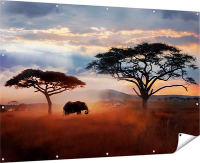 Gards Tuinposter Olifant in het Wild - Savanne - 180x120 cm - Tuindoek - Tuindecoratie - Wanddecoratie buiten - Tuinschilderij