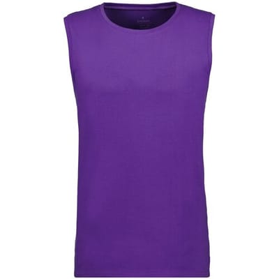 Ragman Ondermode Athletic Jersey Shirt Round Neck Lila / male