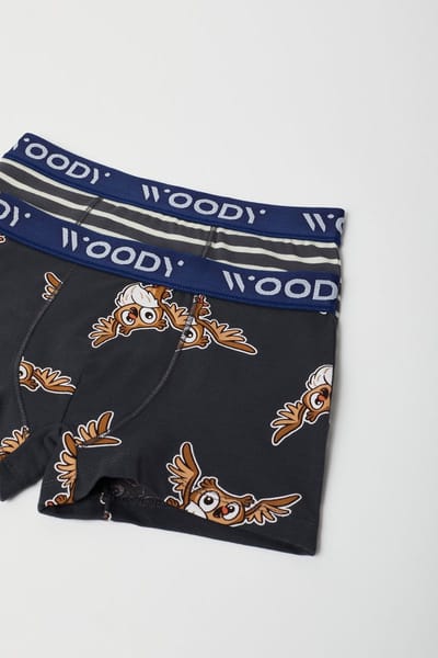 Woody boxers jongens - uil - grijs - 222-1-CLD-Z/060 - maat 104