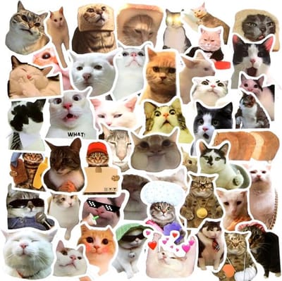 Grappige kattenstickers - 50 stuks Kawaii kattenstickers - waterdichte waterflesstickers - vinyl esthetische kittenstickers - esthetische stickers voor kattenliefhebbers - plakboek - laptop telefoon accessoires
