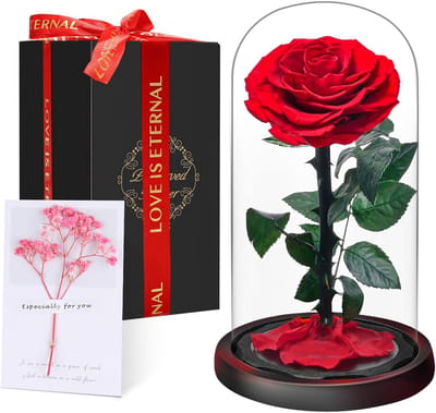 Eeuwige Roos in Glazen Stolp met Geschenkdoos | Echte Geconserveerde Bloem Cadeau voor Vrouwen