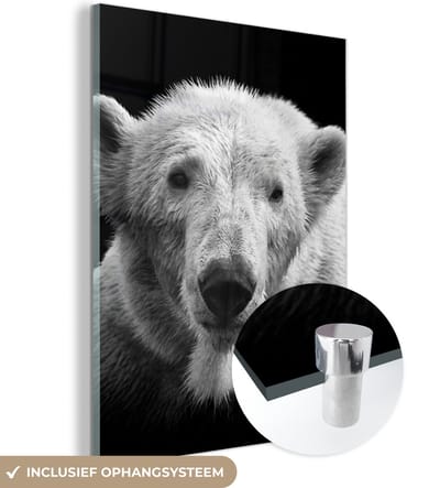 MuchoWow® Glasschilderij 120x160 cm - Schilderij acrylglas - IJsbeer - Dier - Zwart - Wit - Foto op glas - Schilderijen