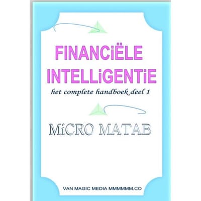 Financiële Intelligentie - MiCRO MATAB