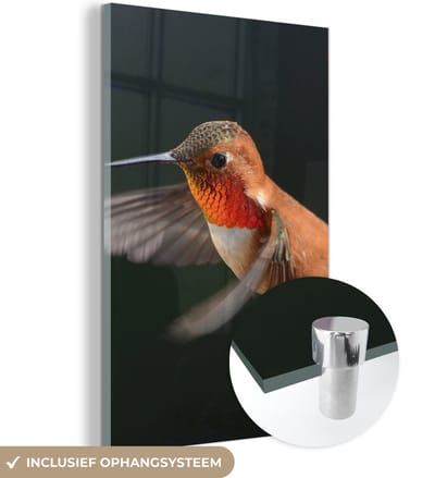 MuchoWow® Glasschilderij 120x180 cm - Schilderij acrylglas - Kolibrie - Vogel - Veren - Zwart - Foto op glas - Schilderijen