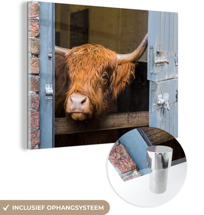 MuchoWow® Glasschilderij 160x120 cm - Schilderij acrylglas - Schotse Hooglander - Boerderij - Schuur - Foto op glas - Schilderijen