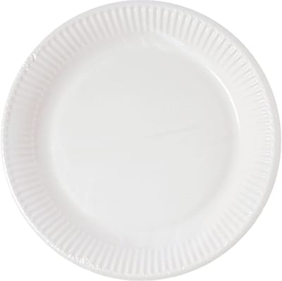 Vegaoo - 10 kleine witte thuis composteerbare kartonnen borden 18 cm milieuvriendelijk voor buffet
