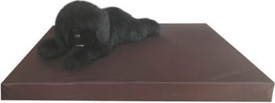 Gezondheidsmatras Leatherlook Bruin M - 80 x 55 cm - Luxe Hondenmatras Hondenbed Hondenkussen Hondenbed