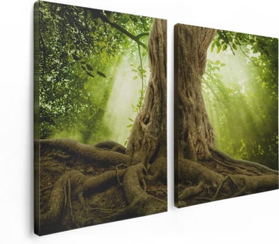 Artaza Canvas Schilderij Tweeluik Grote Boom In Het Bos Met Wortels - 120x80 - Foto Op Canvas - Canvas Print