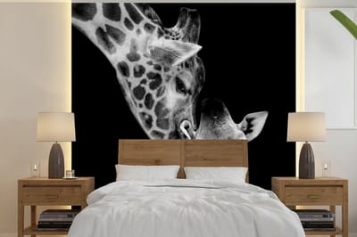 Behang - Fotobehang Portret - Giraffe - Dieren - Zwart - Wit - Breedte 240 cm x hoogte 240 cm