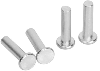 Dailygoods- Klinknagels 100 Stuks - Platte Kop - Massief Aluminium - Klinknagelset - Voor Huishoudelijke Auto-industrie - Georganiseerd in Plastic Doos - Bevestigingsmiddelen