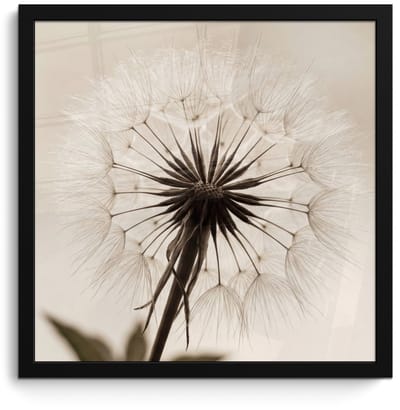 Poster in lijst - Fotolijst 40x40 cm - Posters - Paardenbloem - Minimalistisch - Wit - Posterlijst zwart - Decoratie - Wanddecoratie woonkamer - Muurdecoratie slaapkamer