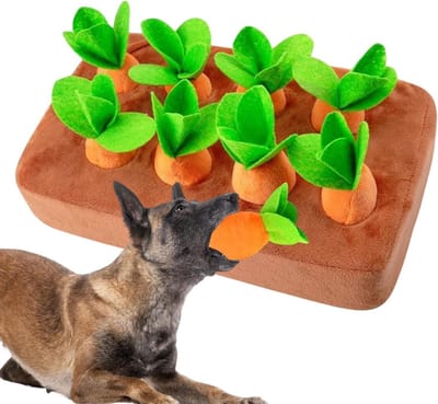 Wortel Snuffle Mat - Hondenpuzzel Speelgoed - Hond Trainen - Niet-slip Voet - 24 x 18 x 6 cm - Oranje