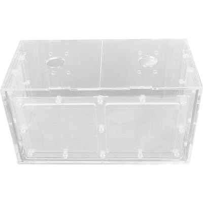 Boîte d'isolement pour l'élevage de poissons Côté en maille transparente Incubateur pour aquarium Petits poissons 20x10x11cm / 7.9x3.9x4.3in