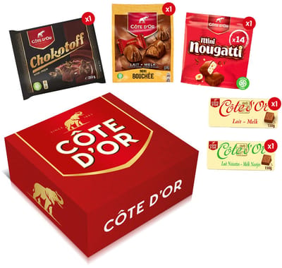 Côte d'Or chocolade verrassingspakket - chocoladerepen en chocolade pralines - chocolade geschenkdoos - Chokotoff, Nougatti, Bouchée - 852g