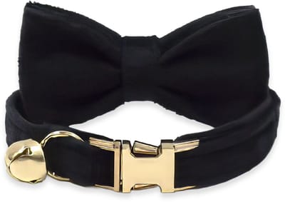 BTH - Kattenhalsband met Strik - Katten Halsband - Zwart - 18-32 cm - Halsband - Katten Kleding - Katten Accesoires - Kat