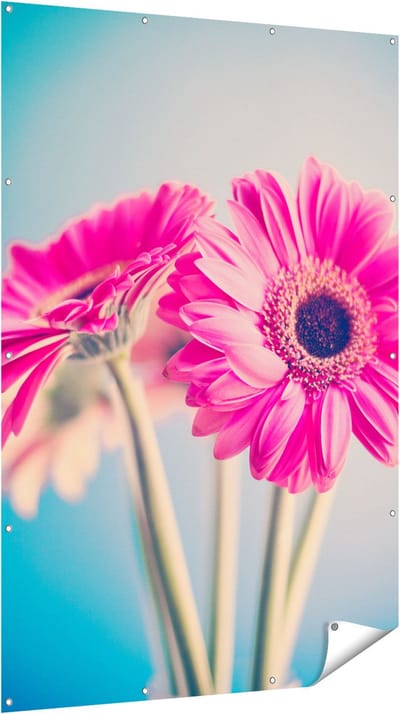 Gards Tuinposter Twee Roze Anjers - Bloemen - 120x180 cm - Tuindoek - Tuindecoratie - Wanddecoratie buiten - Tuinschilderij