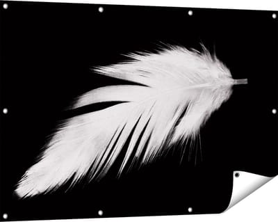 Gards Tuinposter Witte Veer op een Zwarte Achtergrond - 120x80 cm - Tuindoek - Tuindecoratie - Wanddecoratie buiten - Tuinschilderij